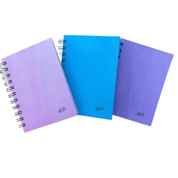 AGENDA ARWEN C/ESPIRAL N°6 DIARIA 2025 P