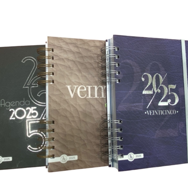 AGENDA REYSA 2026 15X21 PREMIUM ART 8010