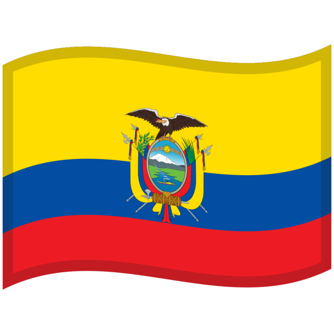 BANDERA DE ECUADOR 90X150 FLAMEO