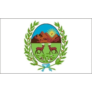 BANDERA CEREMONIA SAN LUIS JARDIN APLICADA 40X70