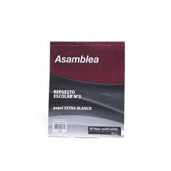REPUESTO 48 ASAMBLEA RAYA ESCOLAR