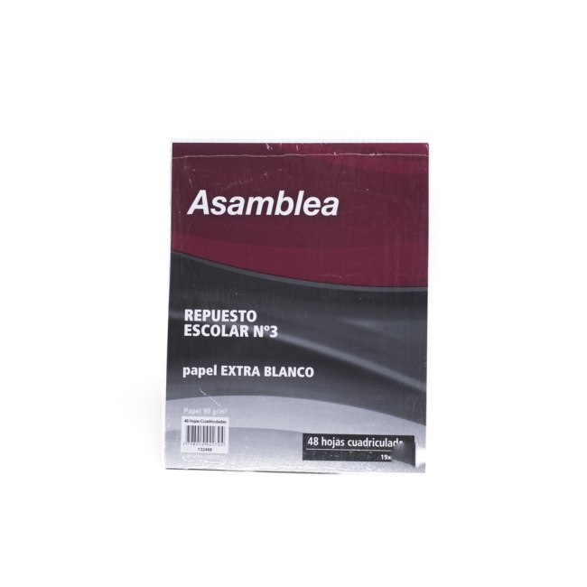REPUESTO 48 ASAMBLEA RAYA ESCOLAR
