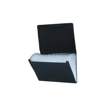 CLASIFICADOR THE PEL A4 12 DIVISIONES