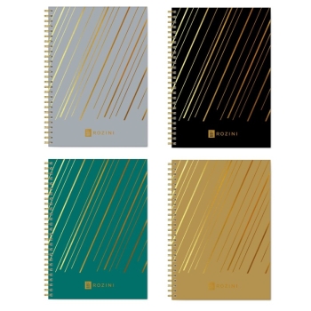 CUADERNO ROZINI DIRETTORE A4 CUADRICULADO